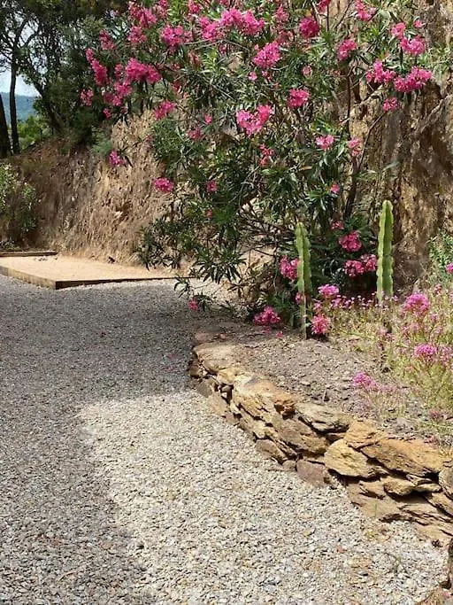 Villa Les Santons Vue Panoramique Mer Golfe De Saint Tropez 4 Etoiles كافالير سور مير